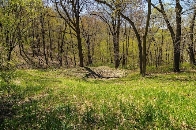 W1349 Hurlburt Rd, Canton, WI 54755