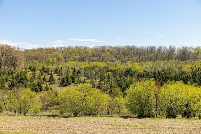 W1349 Hurlburt Rd, Canton, WI 54755