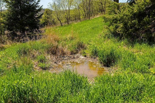 W1349 Hurlburt Rd, Canton, WI 54755