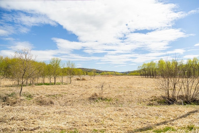 W1349 Hurlburt Rd, Canton, WI 54755