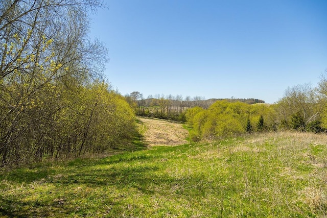 W1349 Hurlburt Rd, Canton, WI 54755