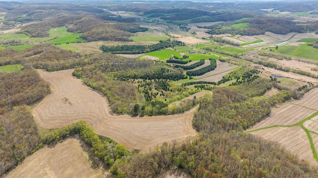 W1349 Hurlburt Rd, Canton, WI 54755
