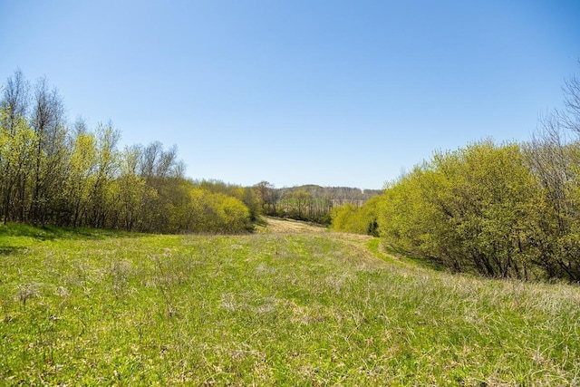 W1349 Hurlburt Rd, Canton, WI 54755