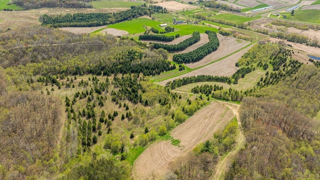 W1349 Hurlburt Rd, Canton, WI 54755