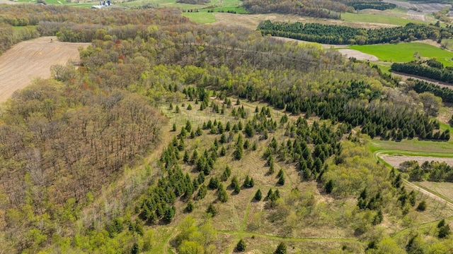 W1349 Hurlburt Rd, Canton, WI 54755