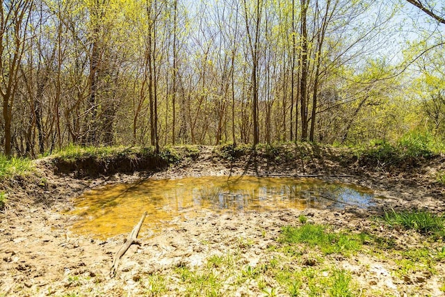 W1349 Hurlburt Rd, Canton, WI 54755
