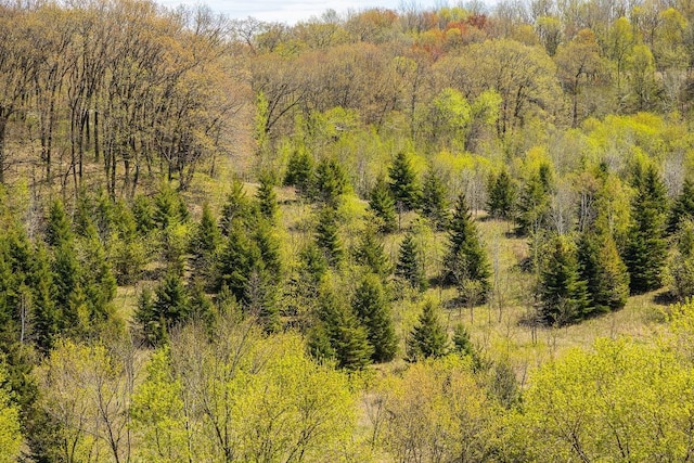 W1349 Hurlburt Rd, Canton, WI 54755