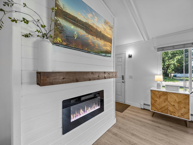 832 10th Ave SE, Forest Lake, MN 55025 - detailed view of baseboard heating, a glass covered fireplace, and wood finished floors