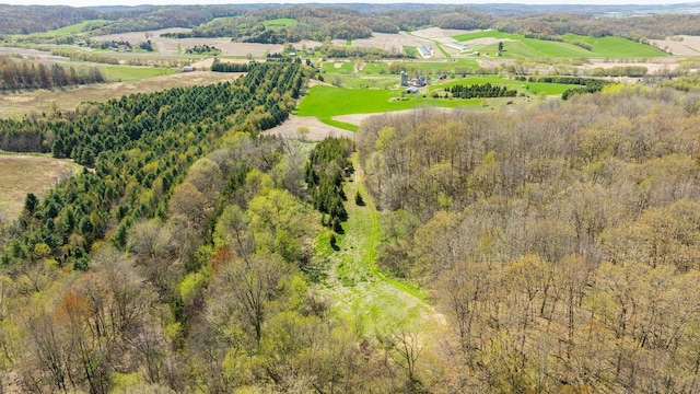 0 Steinke Rd, Canton, WI 54755