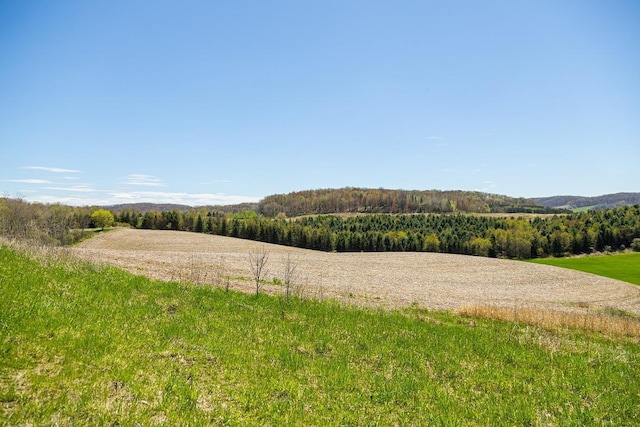 0 Steinke Rd, Canton, WI 54755