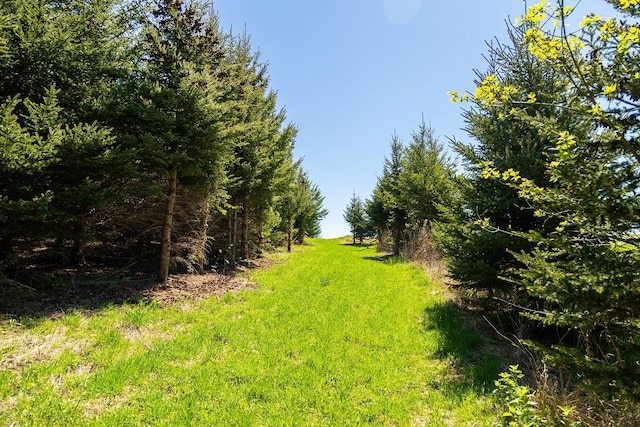 0 Steinke Rd, Canton, WI 54755