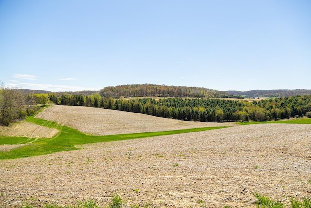 0 Steinke Rd, Canton, WI 54755