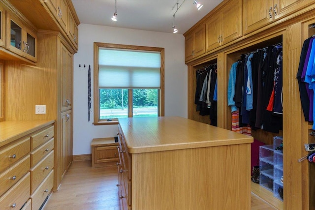 2719 Spring Lake Rd SW, Prior Lake, MN 55372 - walk in closet with light wood-type flooring