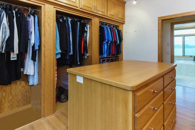 2719 Spring Lake Rd SW, Prior Lake, MN 55372 - spacious closet featuring light wood-style floors