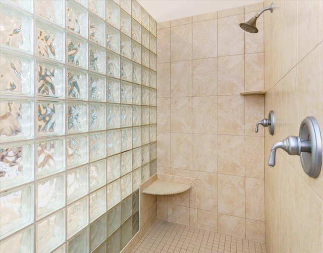 2719 Spring Lake Rd SW, Prior Lake, MN 55372 - bathroom featuring tiled shower