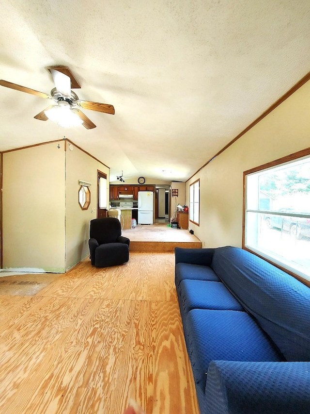 1329 US Highway 8, Balsam Lake, WI 54001 - living area featuring lofted ceiling, light wood finished floors, a ceiling fan, and a textured ceiling