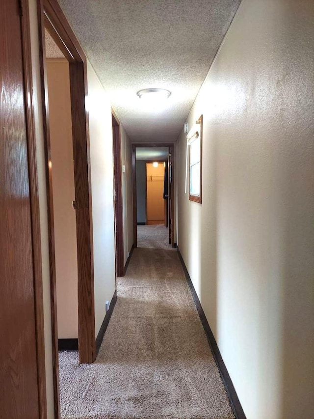 1329 US Highway 8, Balsam Lake, WI 54001 - hall with light colored carpet and a textured ceiling