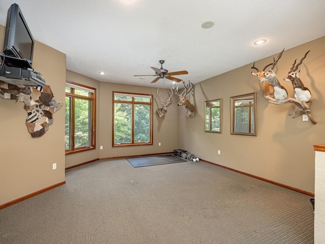 9020 159th Ln NW, Ramsey, MN 55303 - photo 25