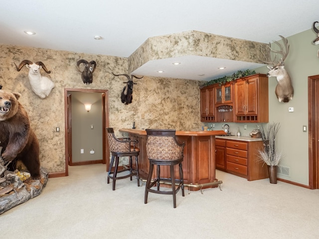 9020 159th Ln NW, Ramsey, MN 55303 - photo 36