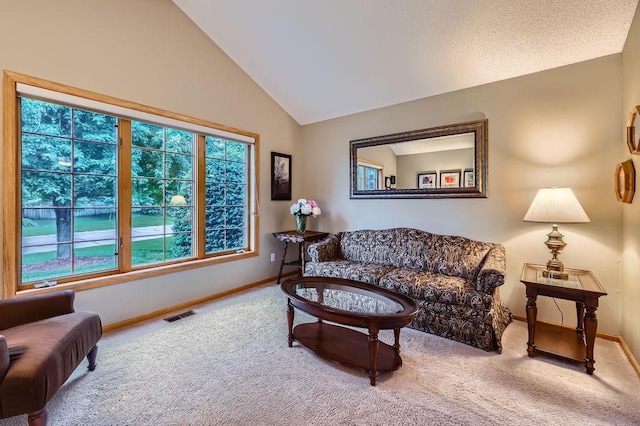 14078 Quince St NW, Andover, MN 55304 - carpeted living room featuring baseboards and vaulted ceiling