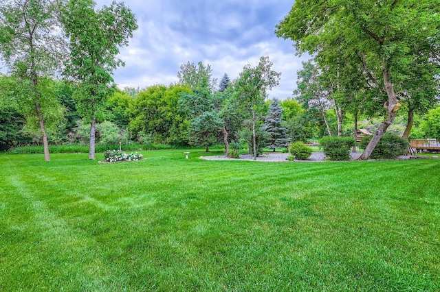 14078 Quince St NW, Andover, MN 55304 - view of grassy yard