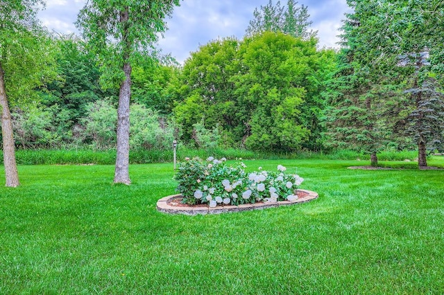 14078 Quince St NW, Andover, MN 55304 - view of green lawn with a forest view