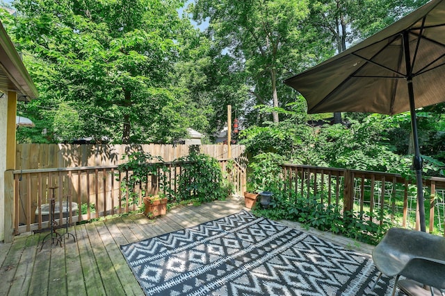 610 34th Ave N, Minneapolis, MN 55412 - view of deck
