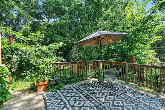 610 34th Ave N, Minneapolis, MN 55412 - view of deck