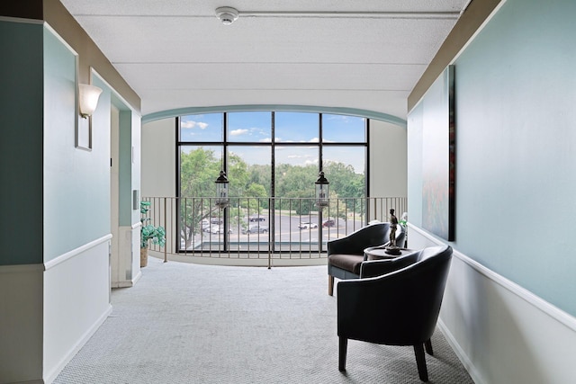 10501 Cedar Lake Rd Unit 515, Minnetonka, MN 55305 - sitting room with carpet flooring and arched walkways