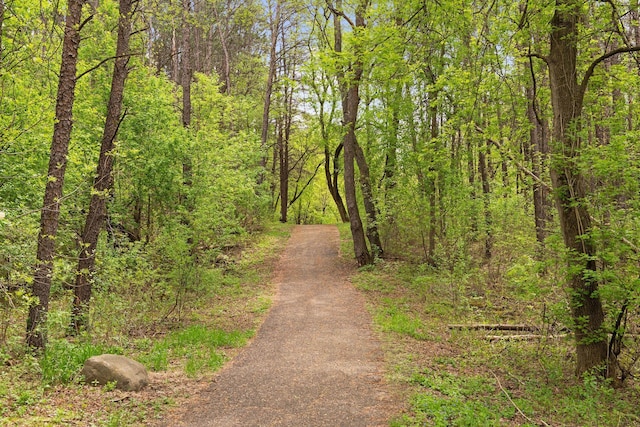 10501 Cedar Lake Rd Unit 515, Minnetonka, MN 55305 - view of road with a wooded view