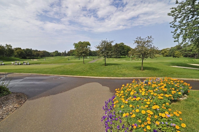10501 Cedar Lake Rd Unit 515, Minnetonka, MN 55305 - view of community with view of golf course, a lawn, and view of wooded area