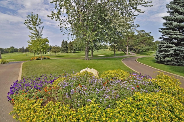 10501 Cedar Lake Rd Unit 515, Minnetonka, MN 55305 - view of property's community with a yard