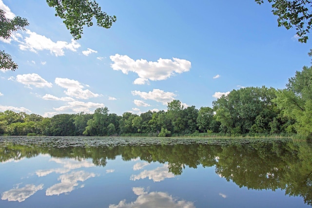 10501 Cedar Lake Rd Unit 515, Minnetonka, MN 55305 - water view featuring a heavily wooded area