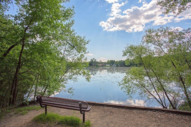10501 Cedar Lake Rd Unit 515, Minnetonka, MN 55305 - water view