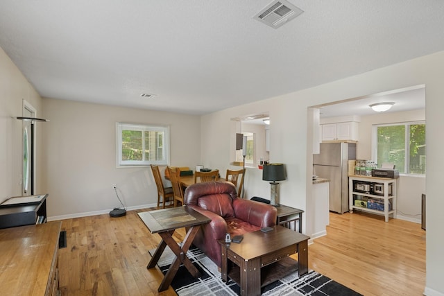 2900 Tuxedo Blvd, Mound, MN 55364 - living room with light wood finished floors and plenty of natural light