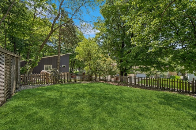 2900 Tuxedo Blvd, Mound, MN 55364 - view of fenced yard