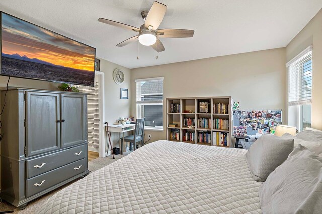 11242 131st Cir N, Dayton, MN 55327 - bedroom with ceiling fan