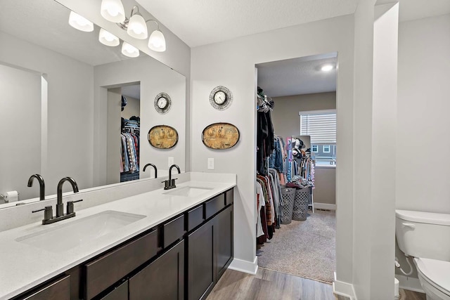 11242 131st Cir N, Dayton, MN 55327 - bathroom with wood finished floors, a spacious closet, and double vanity