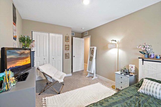 11242 131st Cir N, Dayton, MN 55327 - bedroom with carpet floors and a closet