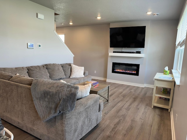 11242 131st Cir N, Dayton, MN 55327 - living area with a glass covered fireplace, wood finished floors, and recessed lighting