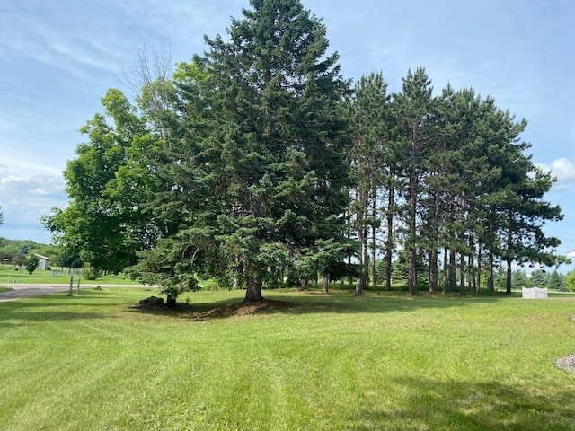 31243 127th St NW, Princeton, MN 55371 - photo 10