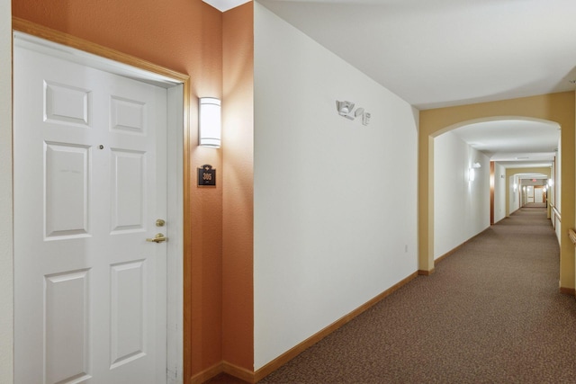 8200 33rd St Unit 305, Saint Louis Park, MN 55426 - photo 5