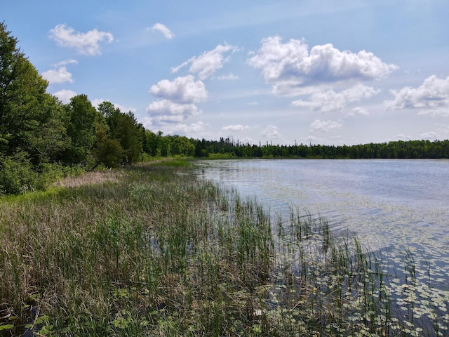 TBD Guile Lake Rd, Cohasset, MN 55721 - photo 6
