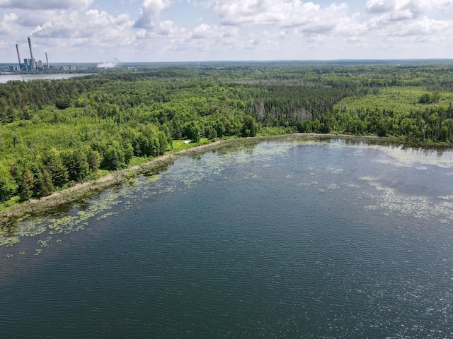 TBD Guile Lake Rd, Cohasset, MN 55721 - photo 7