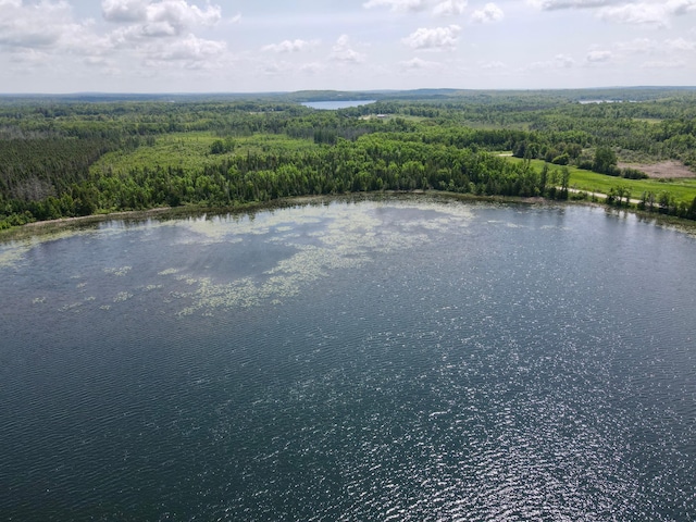 TBD Guile Lake Rd, Cohasset, MN 55721 - photo 8