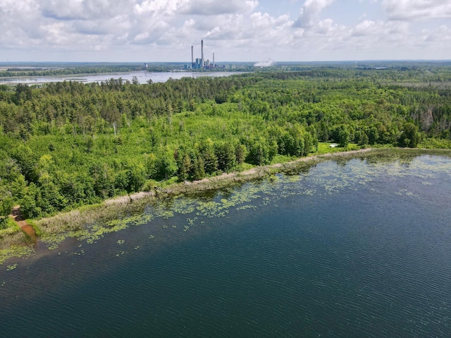 TBD Guile Lake Rd, Cohasset, MN 55721 - photo 9