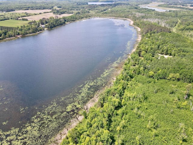 TBD Guile Lake Rd, Cohasset, MN 55721 - photo 10