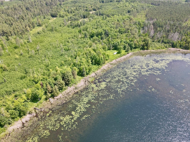 TBD Guile Lake Rd, Cohasset, MN 55721 - photo 11