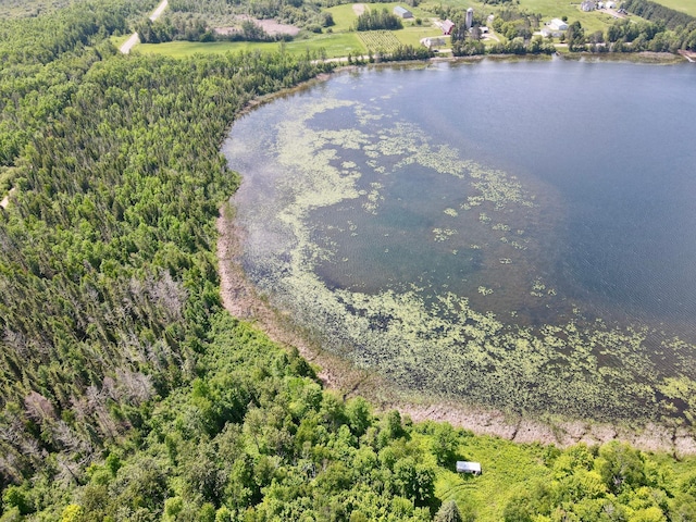 TBD Guile Lake Rd, Cohasset, MN 55721 - photo 12