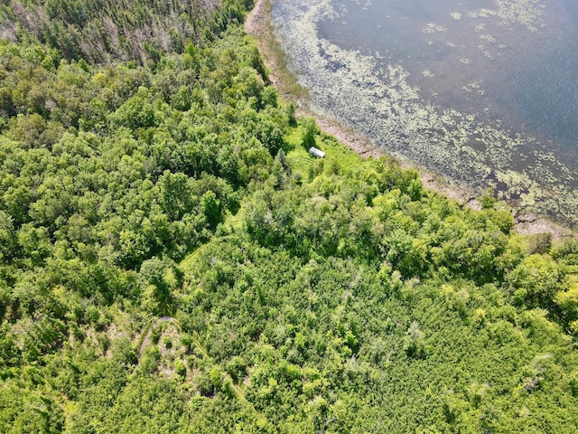 TBD Guile Lake Rd, Cohasset, MN 55721 - photo 14